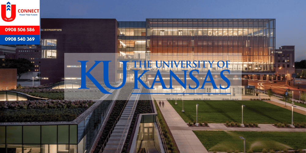 Du học ngành Dược sĩ tại Mỹ